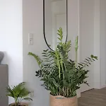 Apartment Herz-oase Eigeltingen